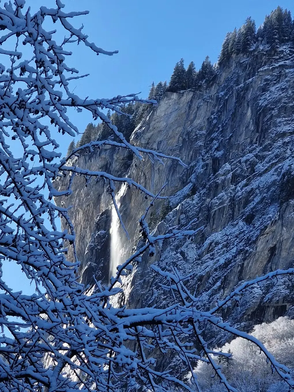 Wasserfall an einer vereisten Felswand mit einem verschneiten Zweig im Vordergrund