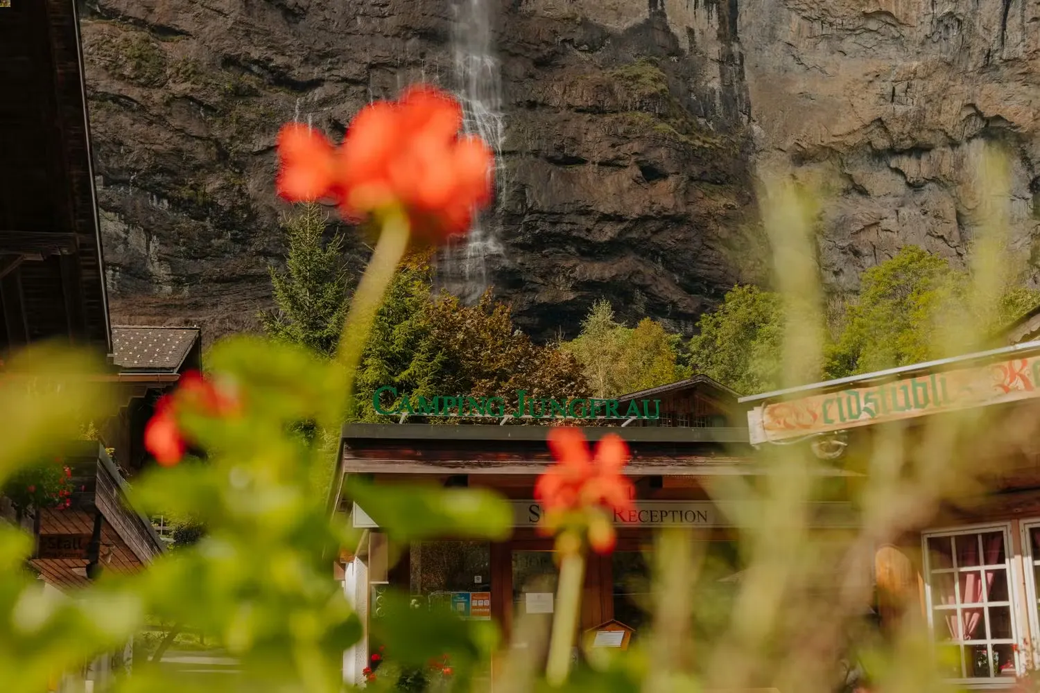Blumen vor Reception des Camping Jungfrau