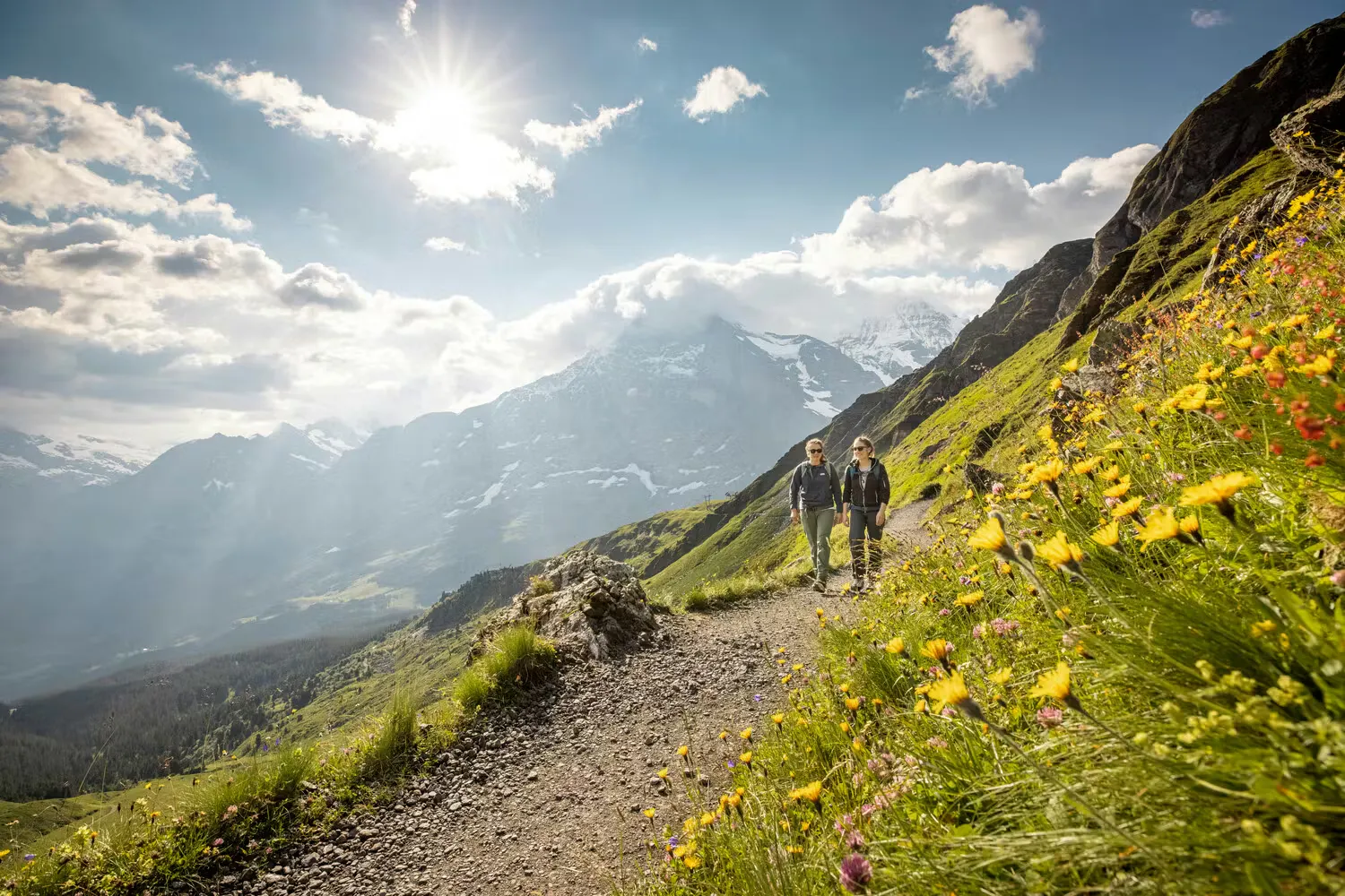 zwei Wanderer auf einem Bergpfad mit blühenden Blumen und Bergen im Hintergrund