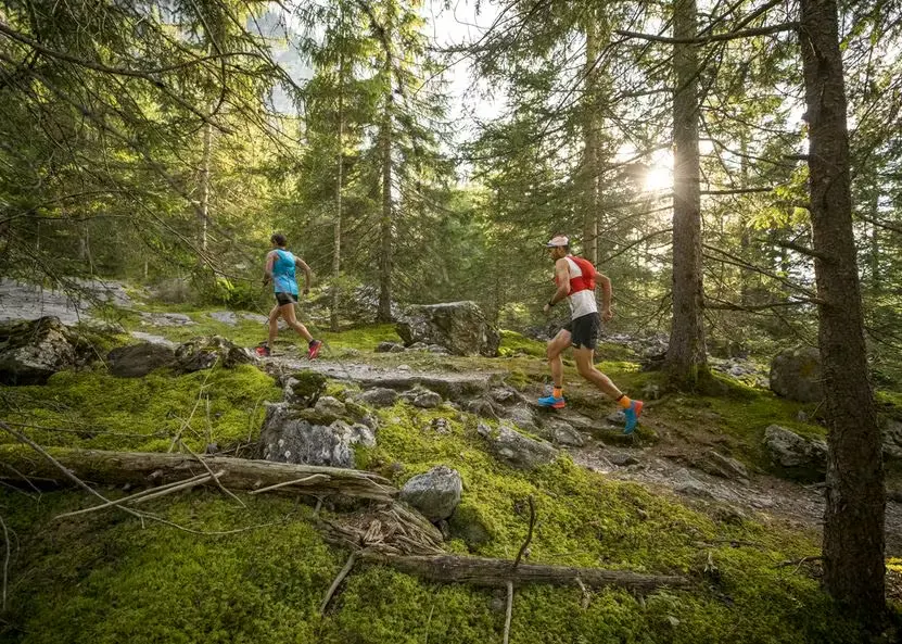 zwei Trailrunner laufen durch einen Wald