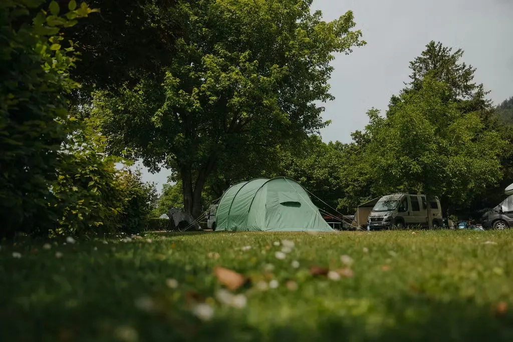Zeltplatz auf dem Campingplatz Alpenblick, umgeben von grünem Gras und Bäumen