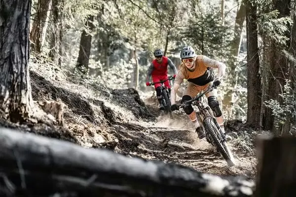 Zwei Mountainbiker auf Trail im Wald