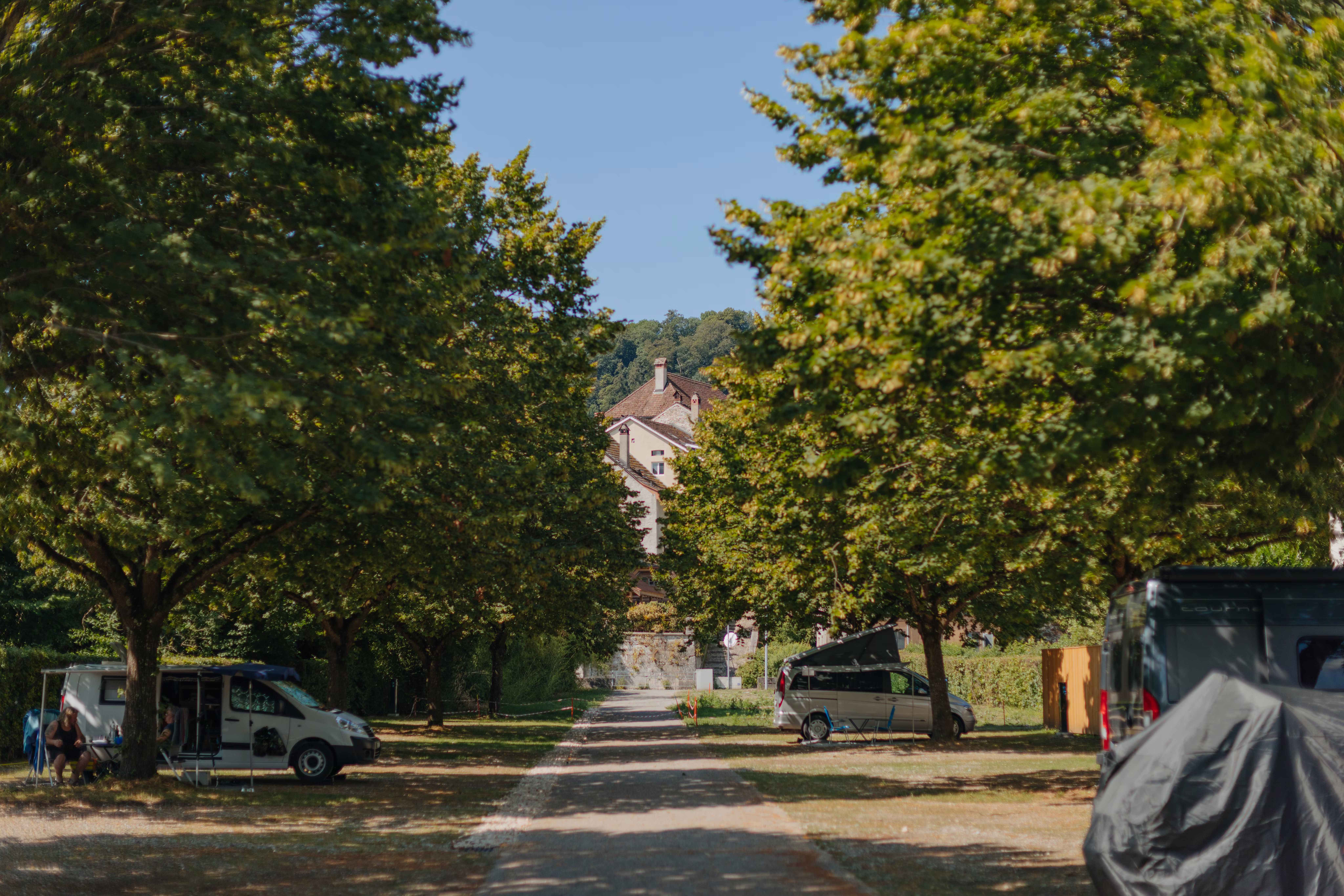 Blick auf eine Allee auf einem Campingplatz mit Stellplätzen unter Bäumen und blauem Himmel, einige Stellplätze sind mit Wohnmobilen belegt