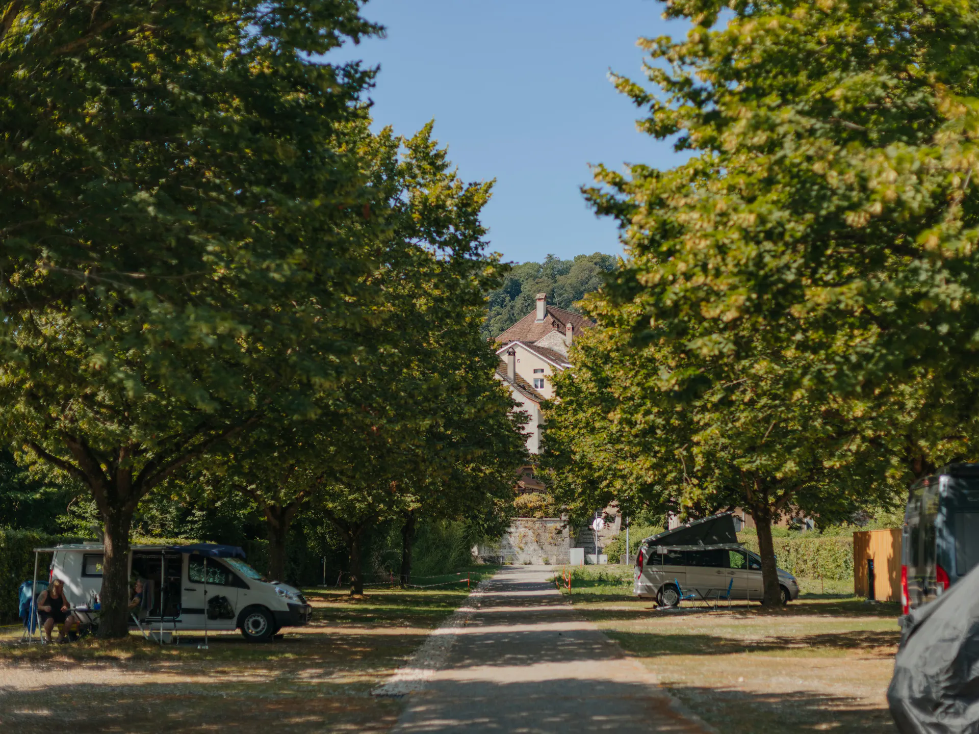 Blick auf eine Allee auf einem Campingplatz mit Stellplätzen unter Bäumen und blauem Himmel, einige Stellplätze sind mit Wohnmobilen belegt