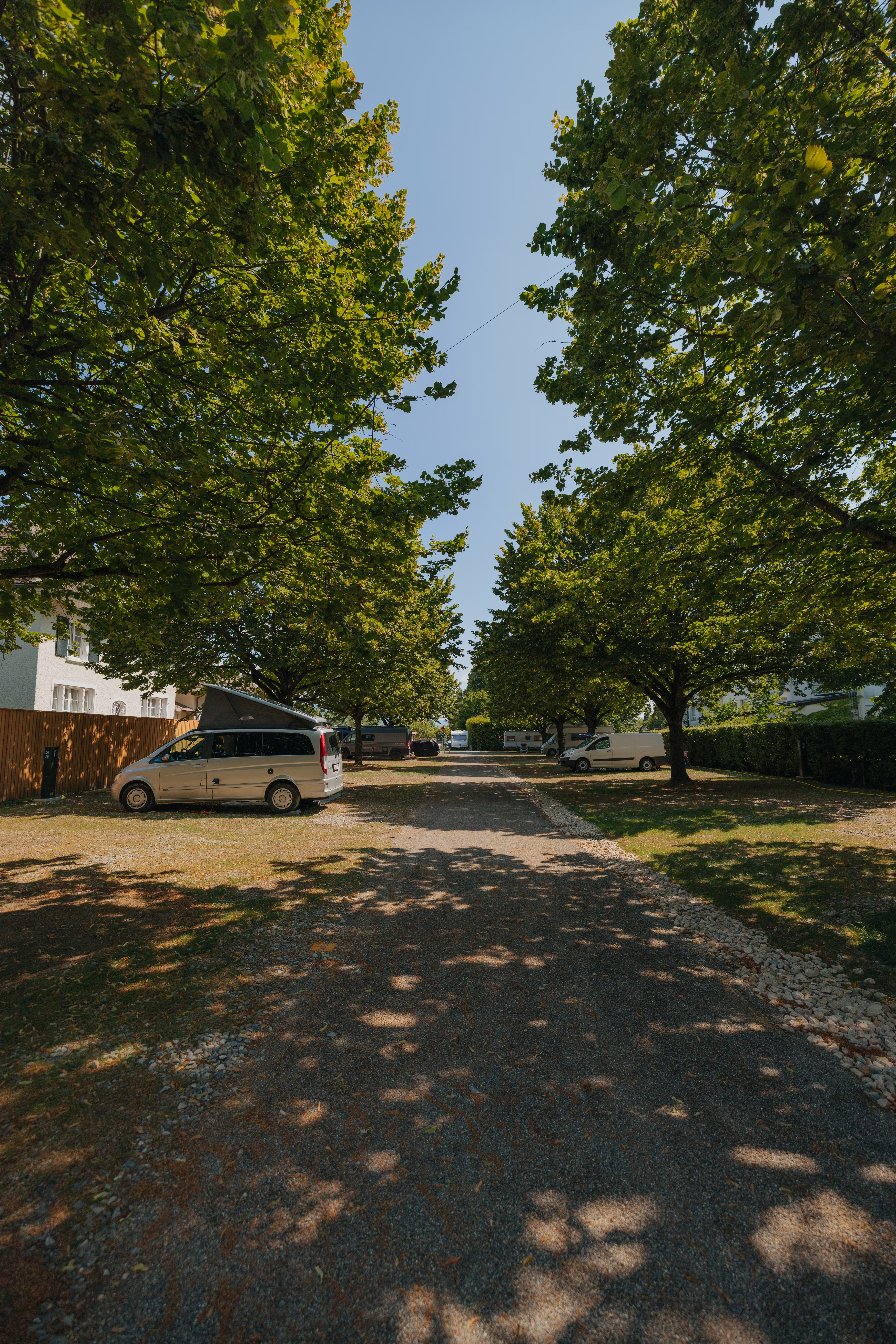 Blick auf eine Allee auf einem Campingplatz mit Stellplätzen unter Bäumen und blauem Himmel, einige Stellplätze sind mit Wohnmobilen belegt