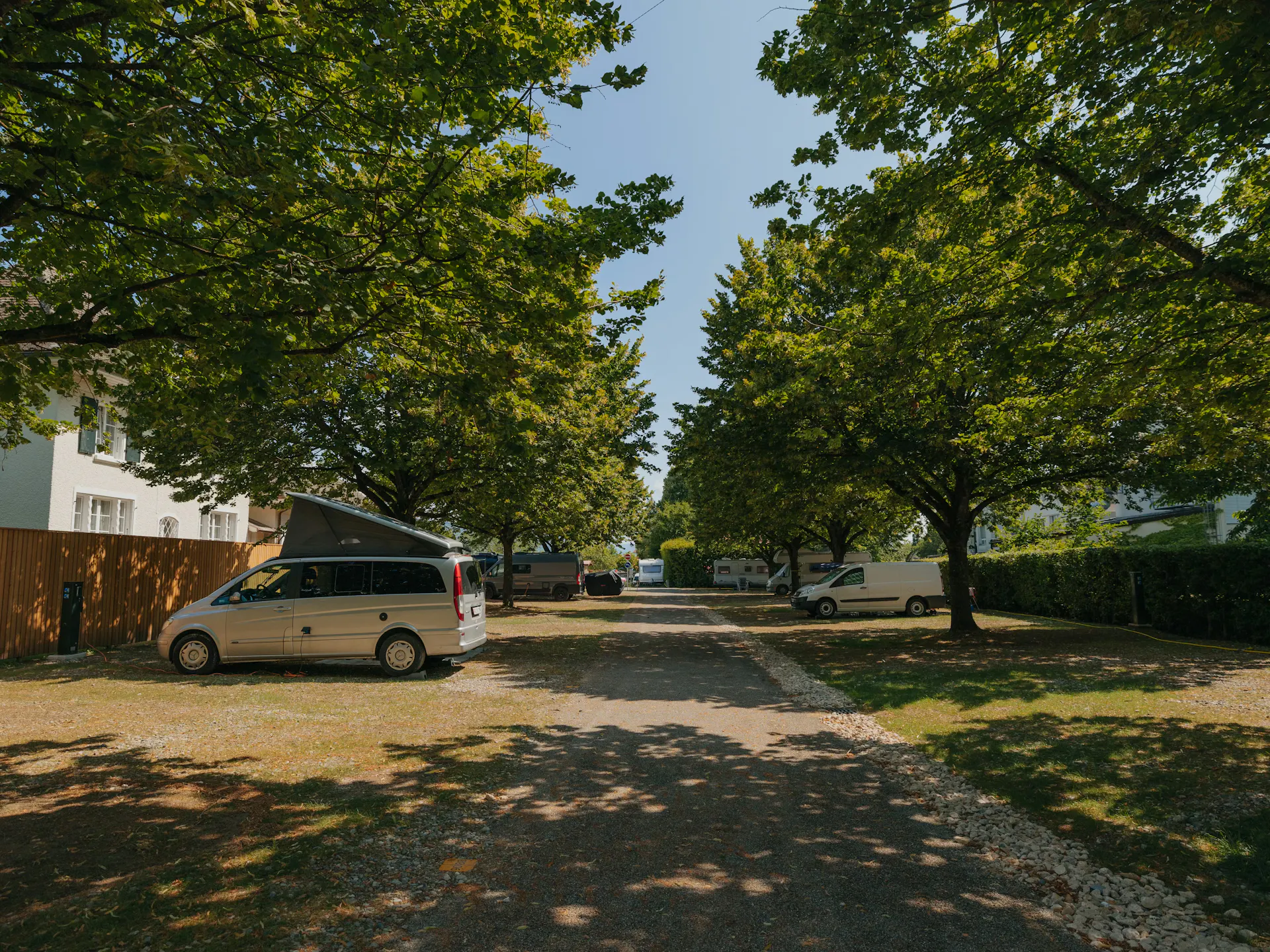 Blick auf eine Allee auf einem Campingplatz mit Stellplätzen unter Bäumen und blauem Himmel, einige Stellplätze sind mit Wohnmobilen belegt