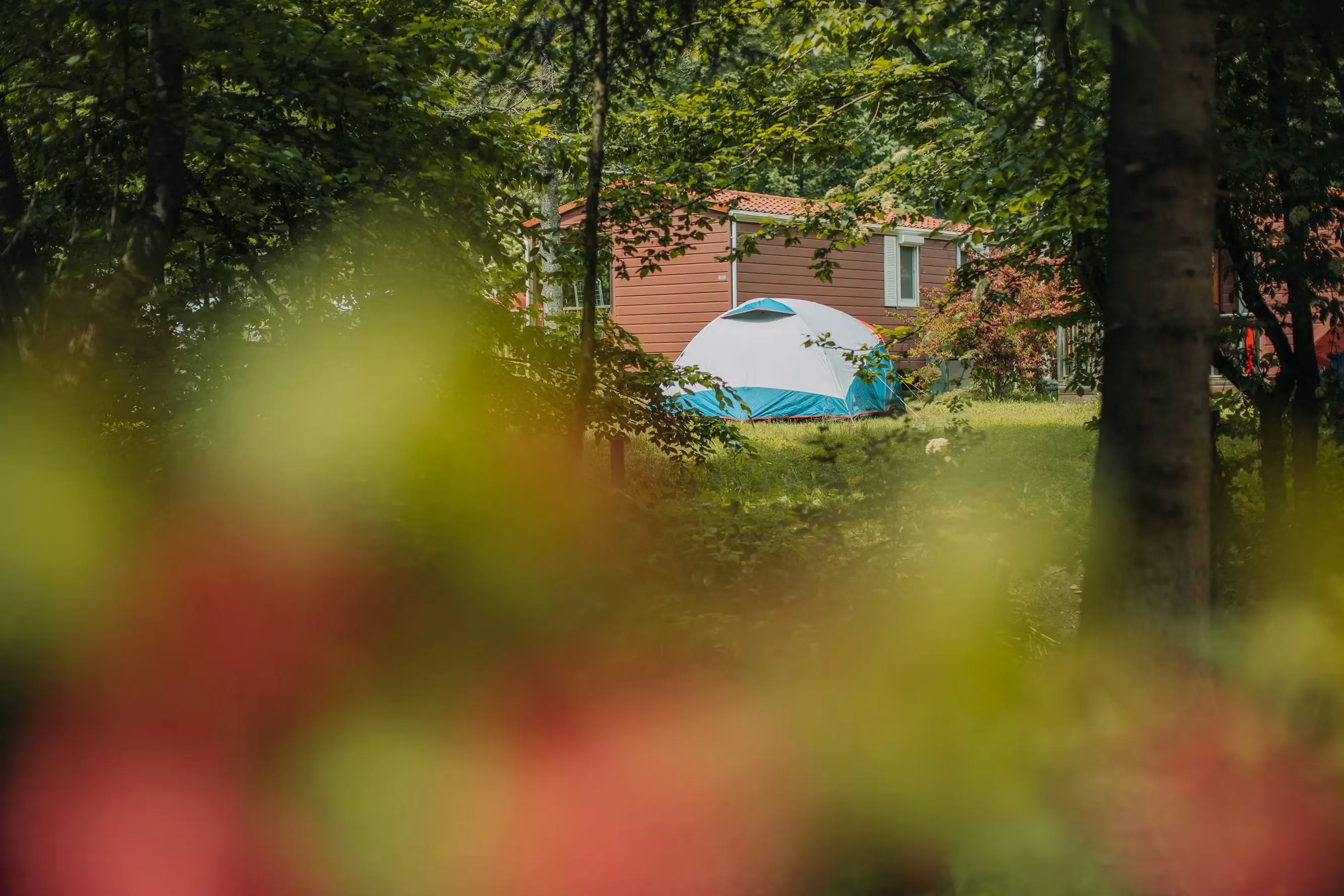 einfacher Zeltplatz zwischen Bäumen auf Camping Jungfrau