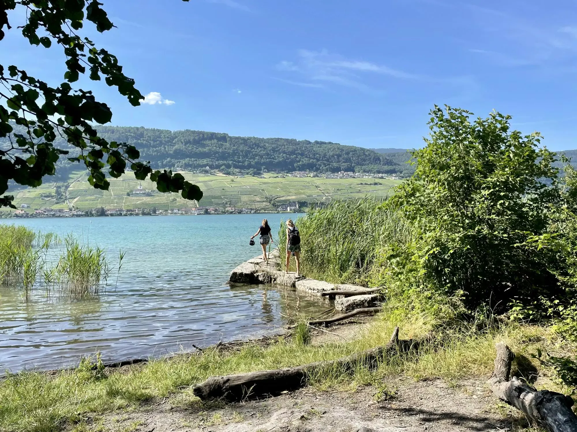 Ufer der St. Peterinsel