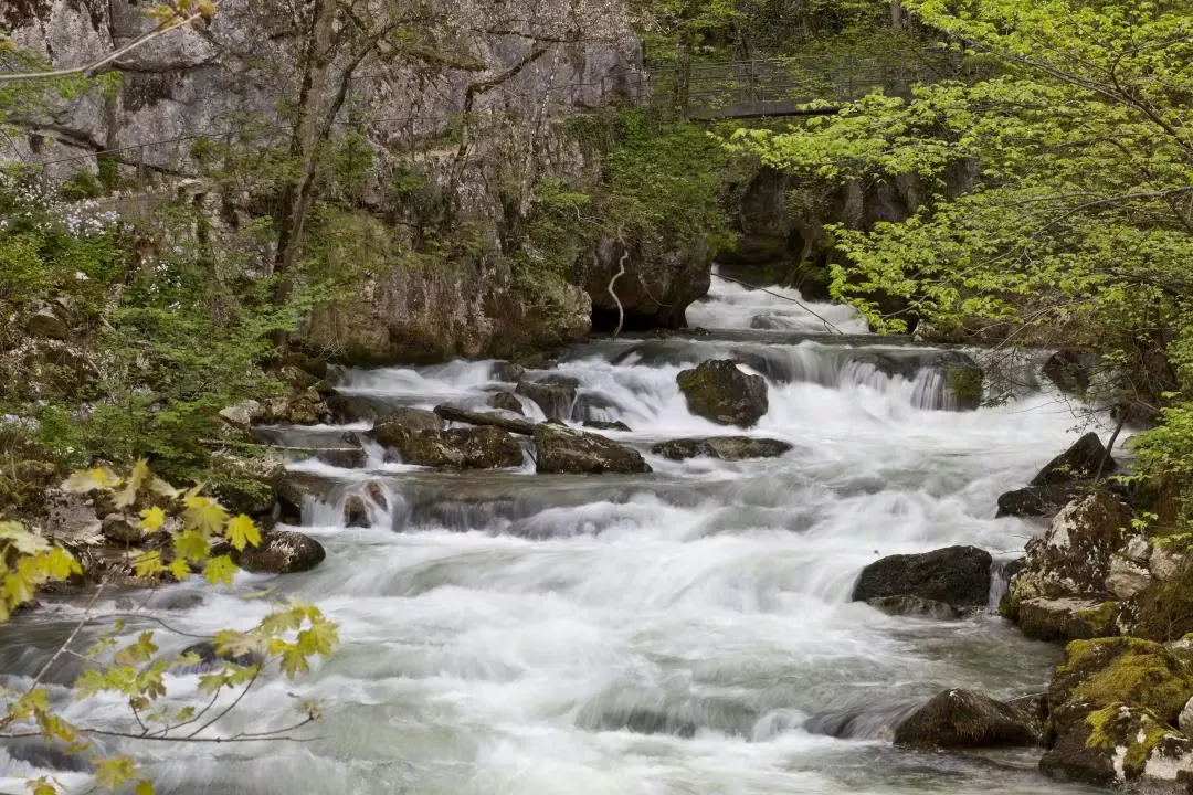 Taubenlochschlucht Fluss in Biel