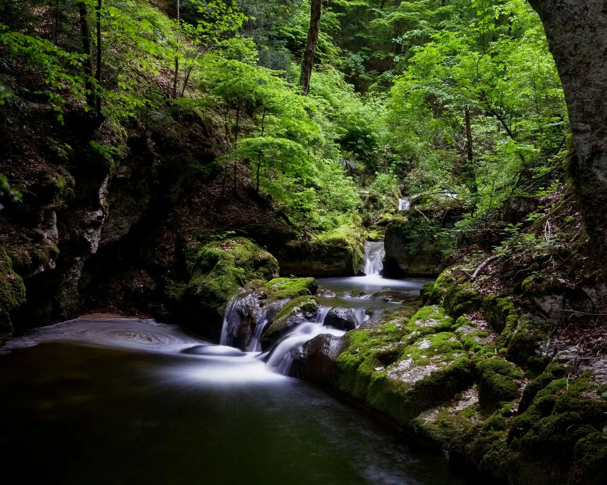 Twannbachschlucht in Twann, Wasserfälle
