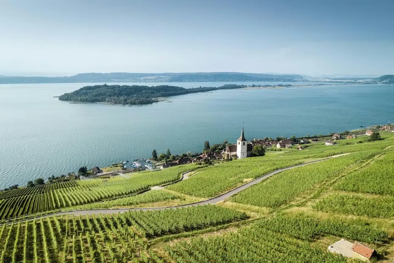 Kirche Ligerz am Bielersee mit der St. Petersinsel im Hintergrund