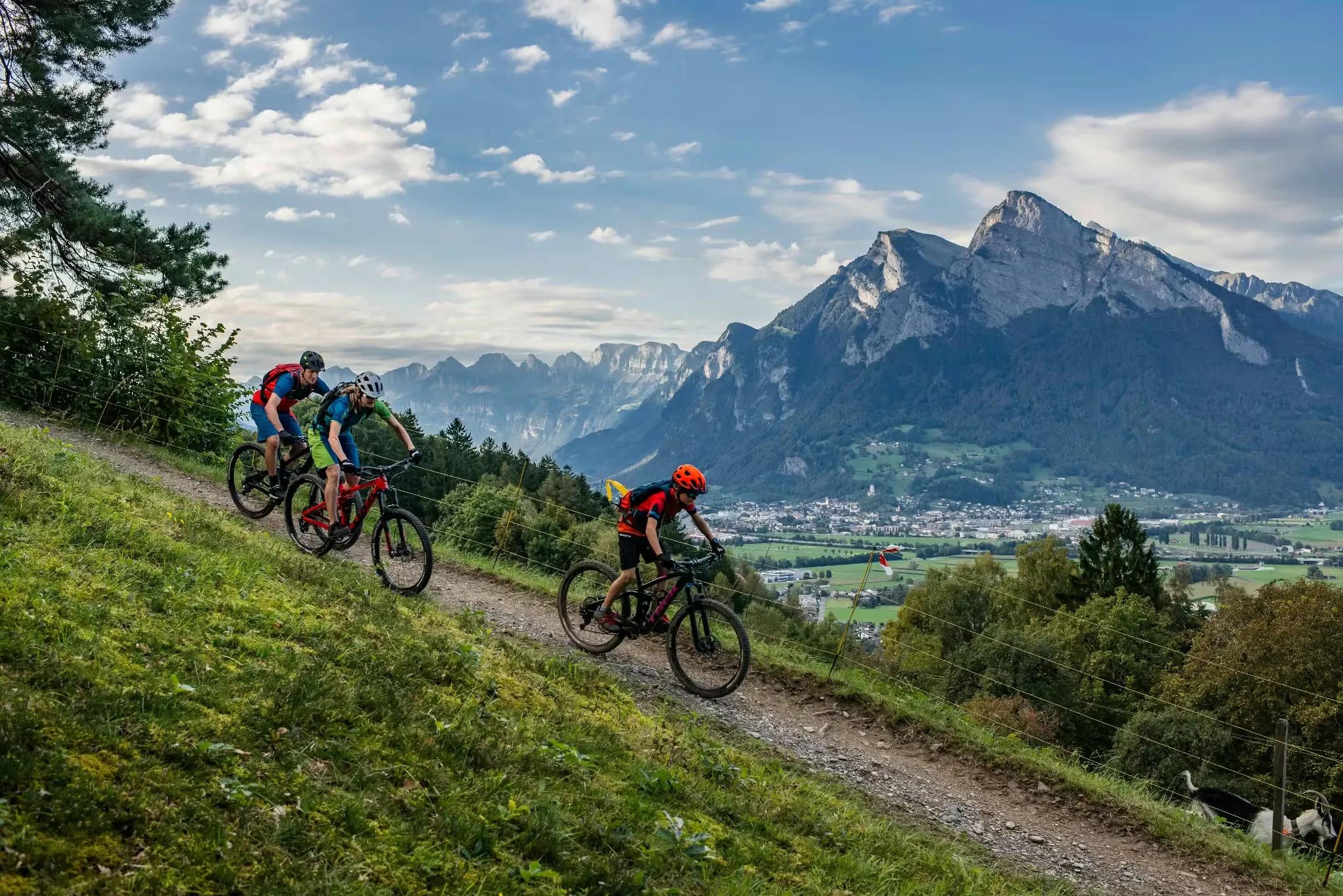 Drei Mountainbiker auf einem Mountainbike-Trail bergab, im Hintergrund der Berg Gonzen