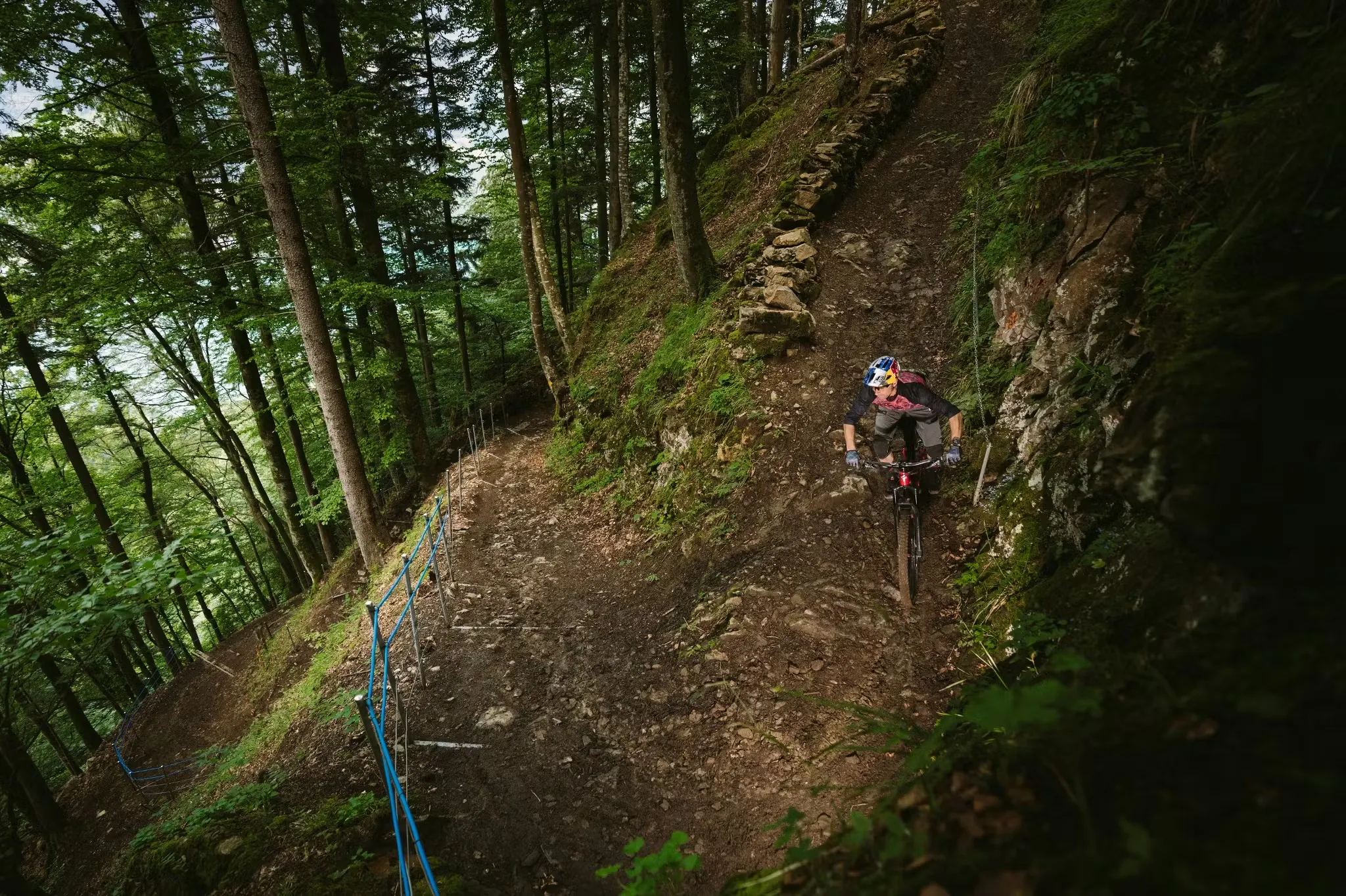 Ein Mountainbiker auf einer steilen Abfahrt durch die Wälder der Region Flumserberg