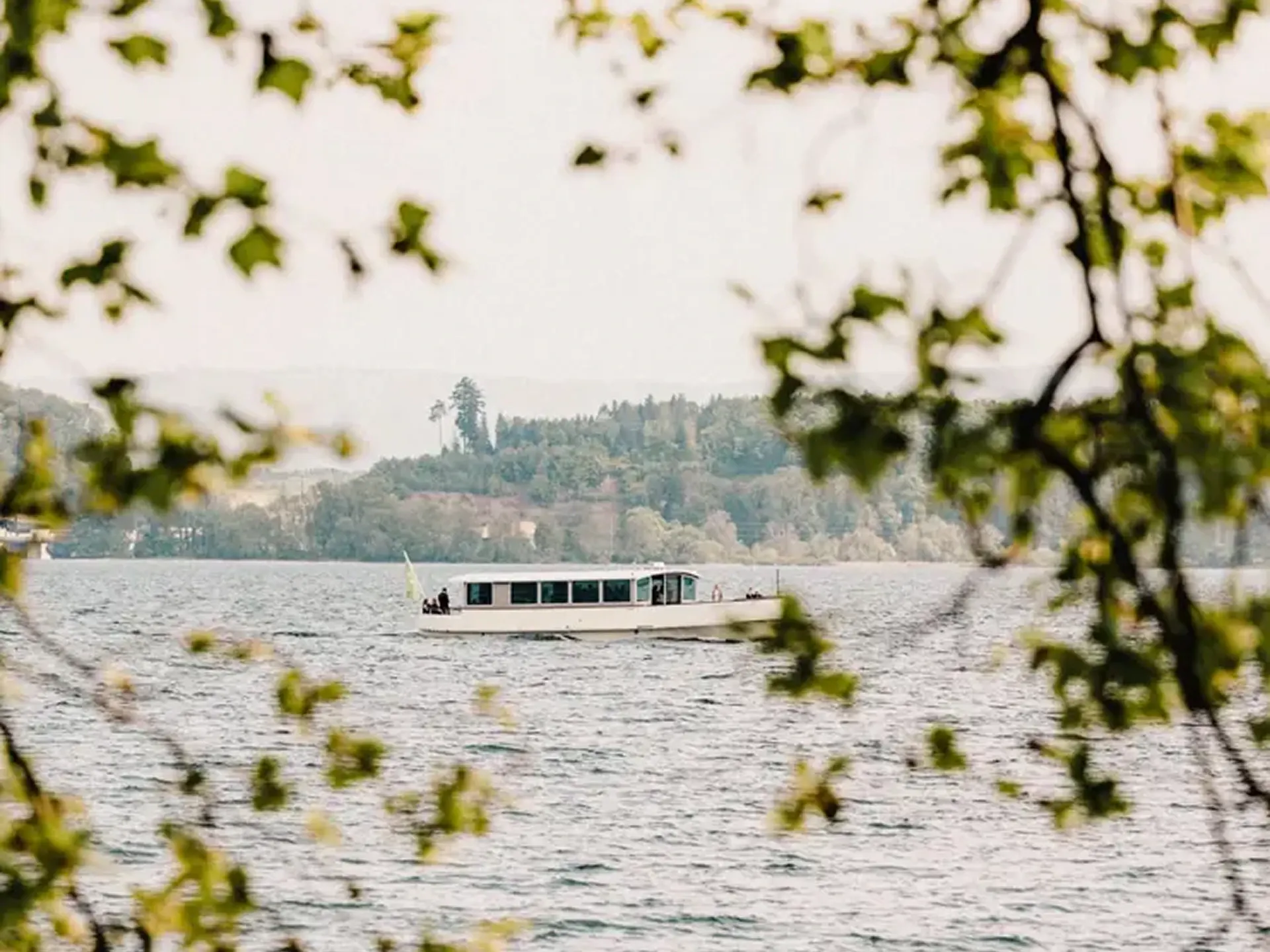 Navette Taxiboot zur Petersinsel