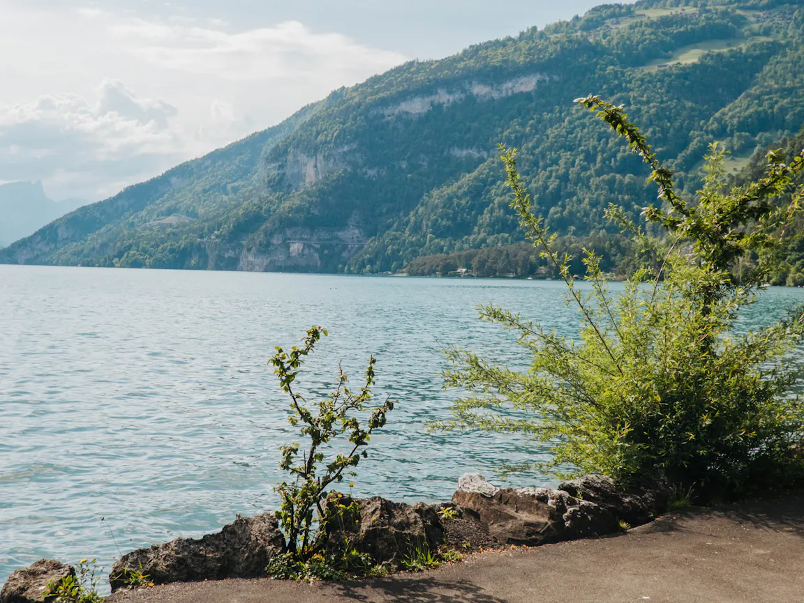 Blick Richtung Sundlauenen von Neuhaus Unterseen aus am Thunersee