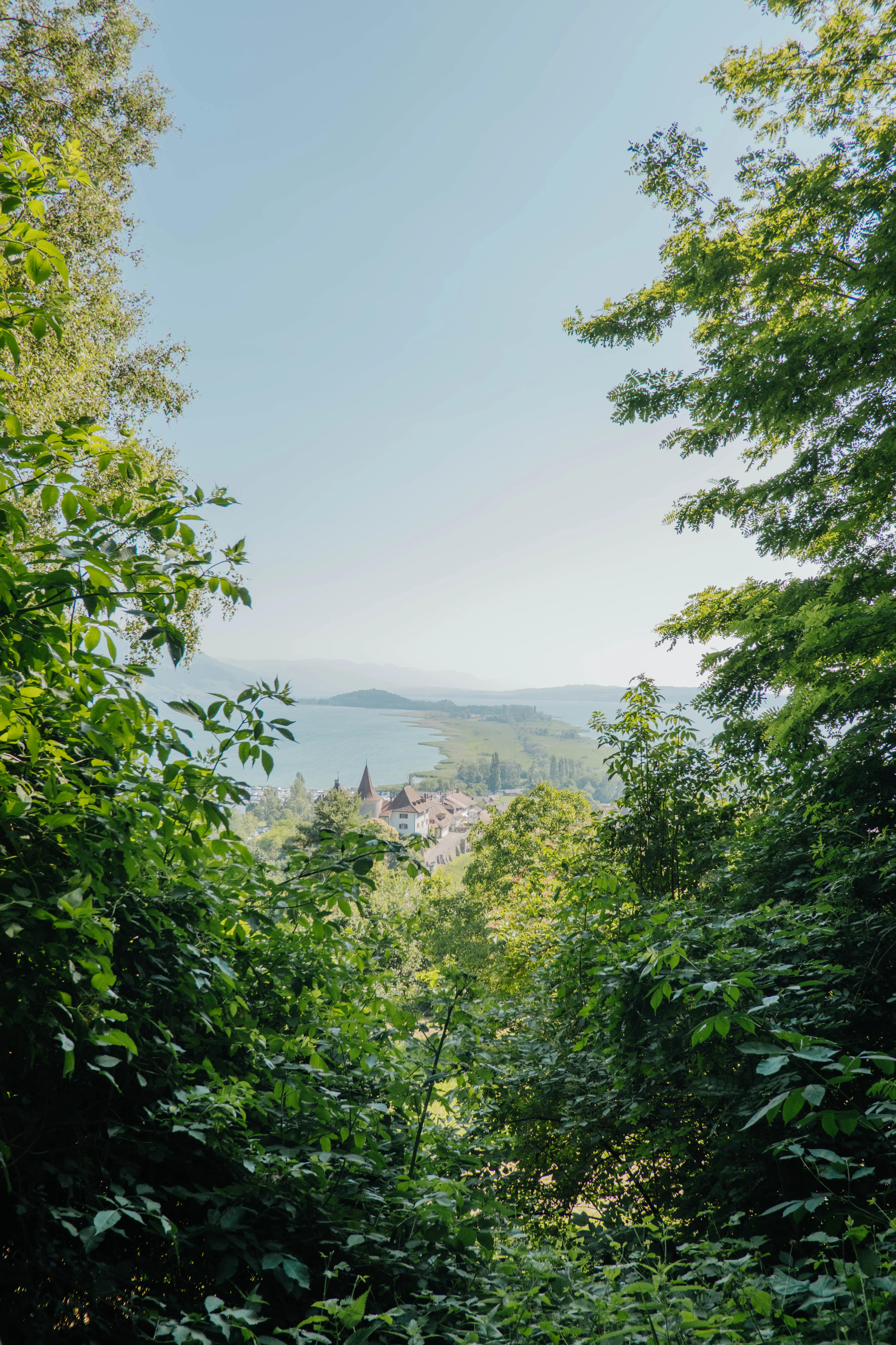 Grand Tour of Switzerland Photospot mit Blick Richtung St.Petersinsel