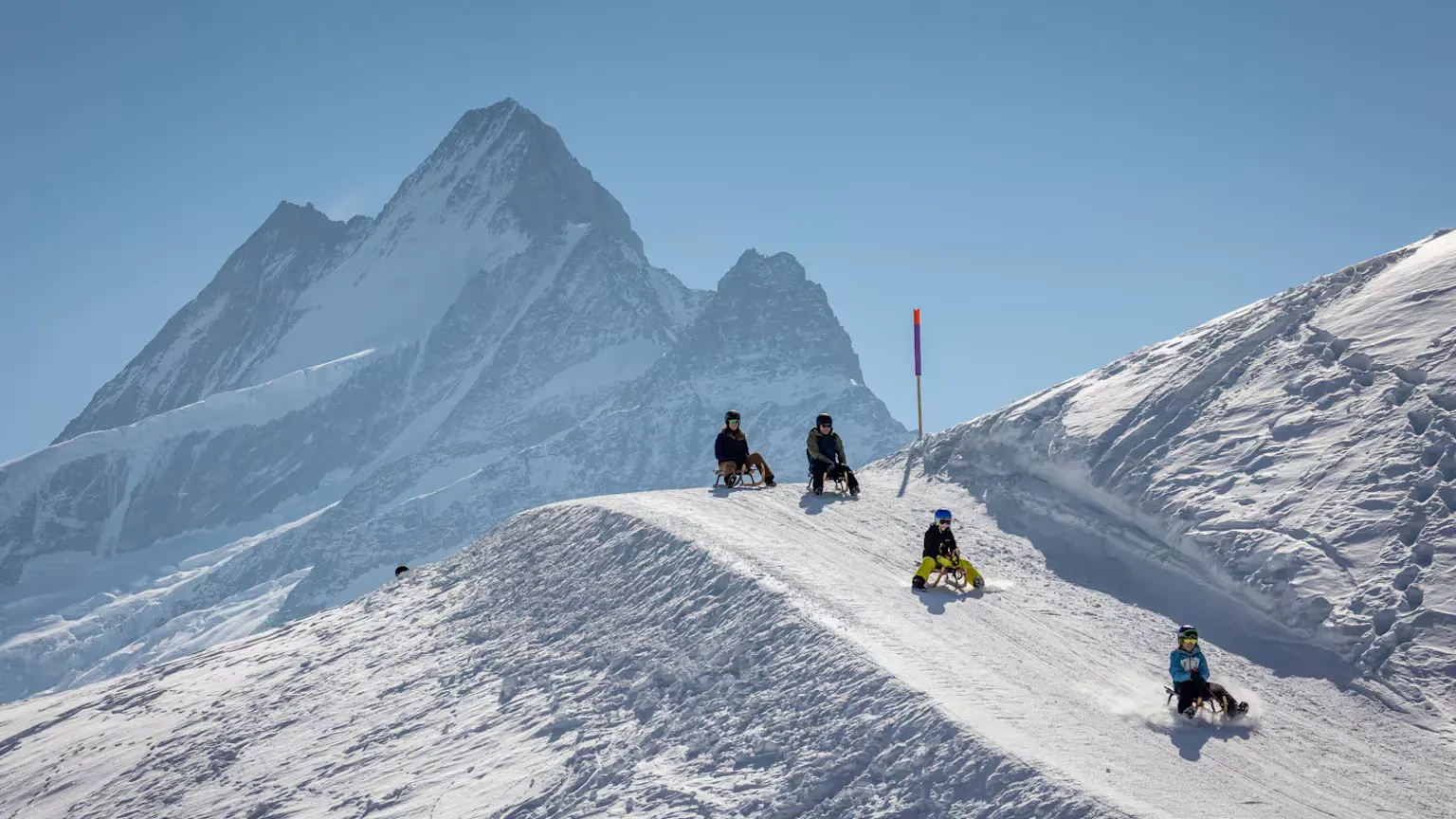 vier Personen am Schlitteln in Winterlandschaft