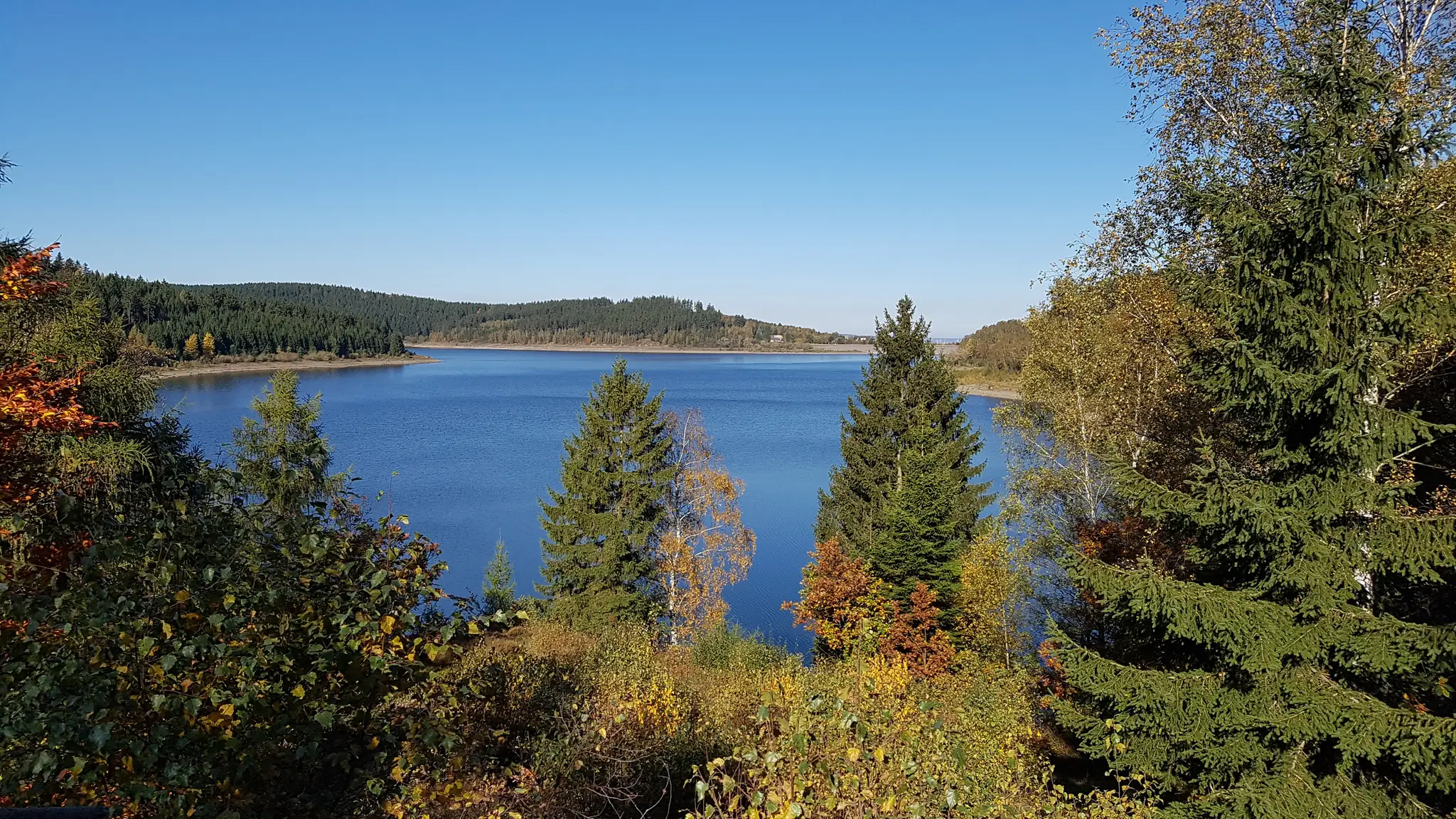 Aussicht Steinbergturm