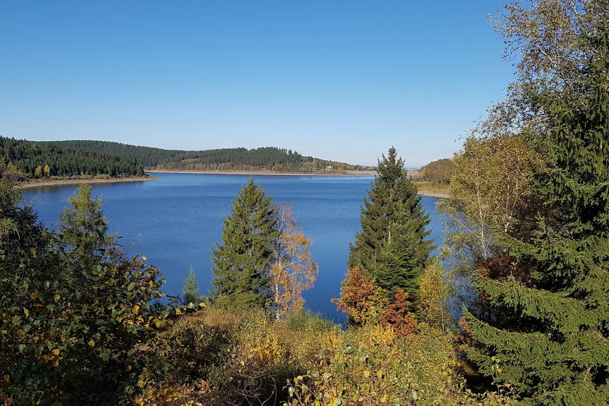 Aussicht Steinbergturm