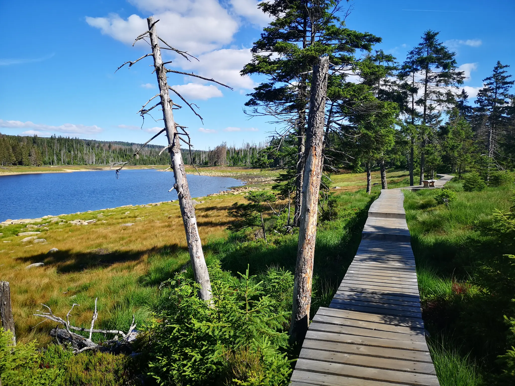 Rundwanderweg Oderteich