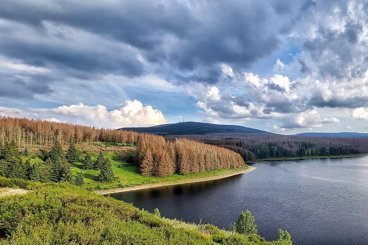 Umrundung Eckertalsperre