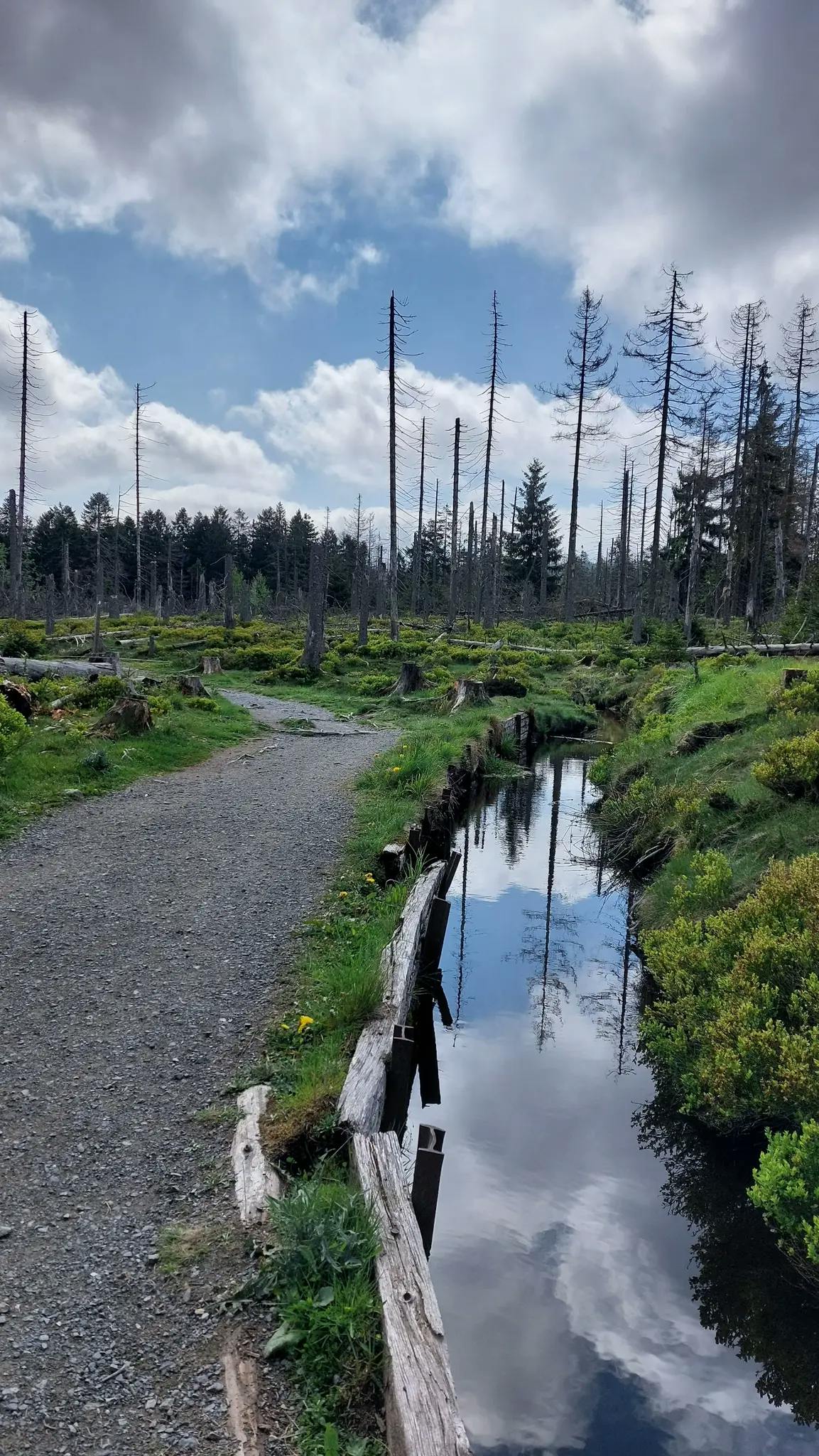 Rund um das Große Torfhausmoor
