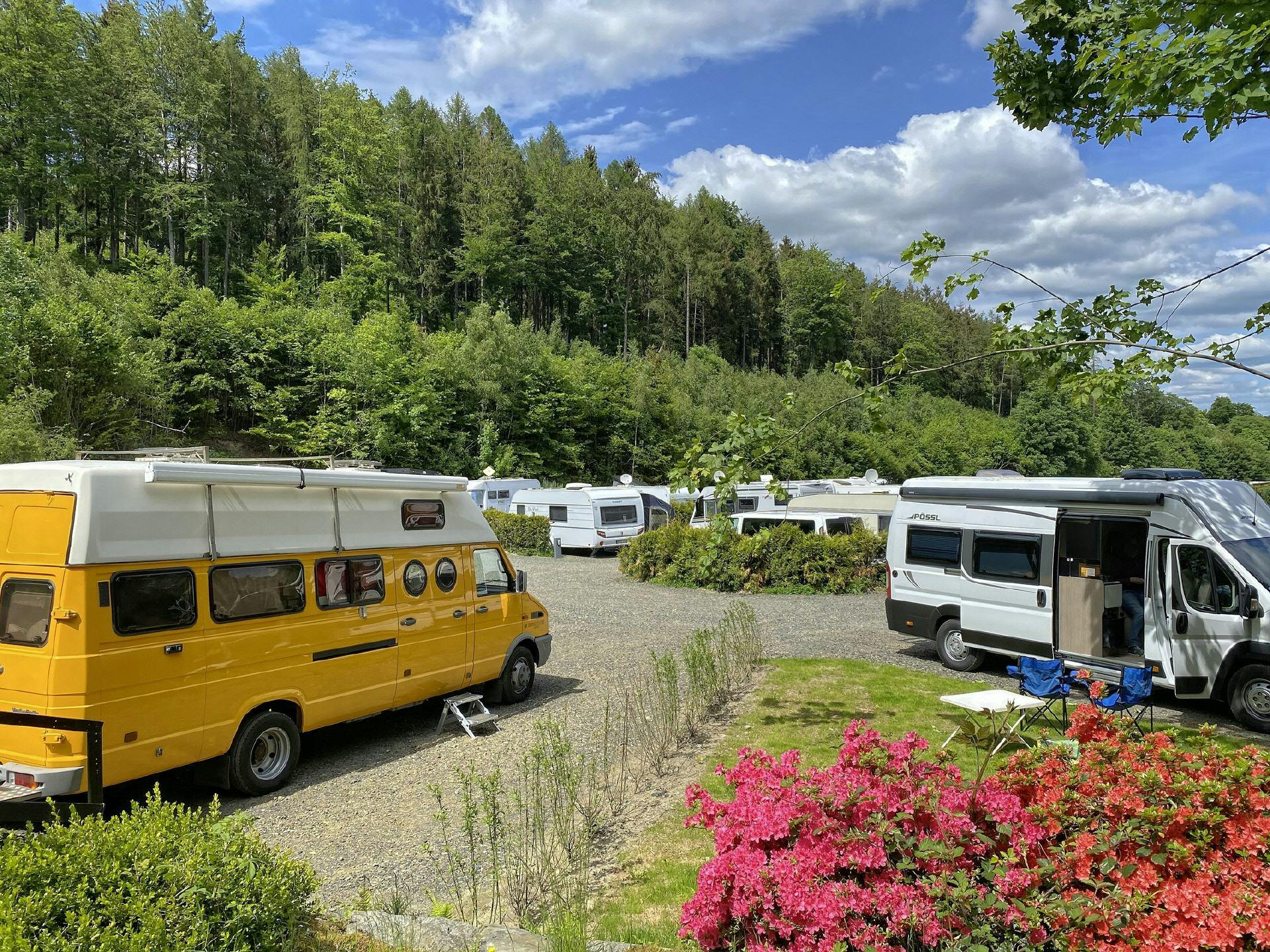Standardstellplatz Hecke