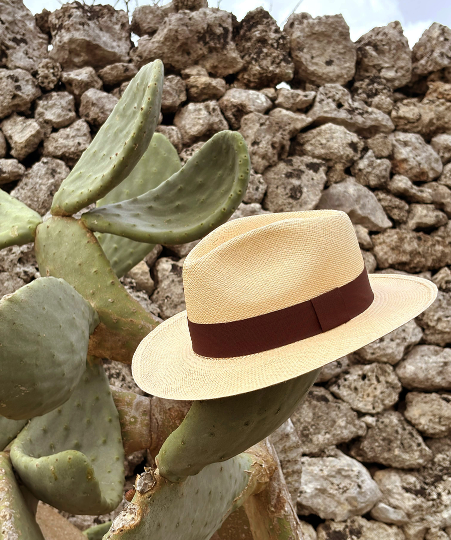 chapeau-cactus