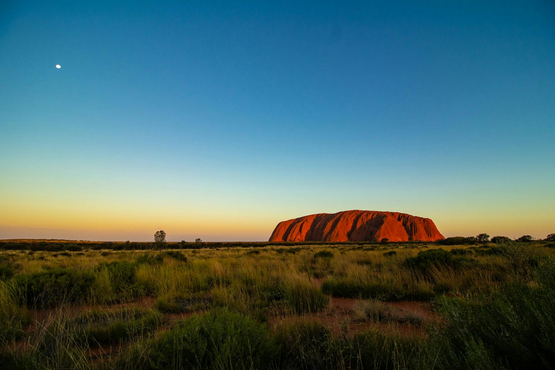 Australia NP