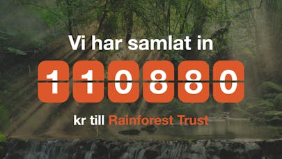 Vi har samlat in 110 880 kr till Rainforest Trust