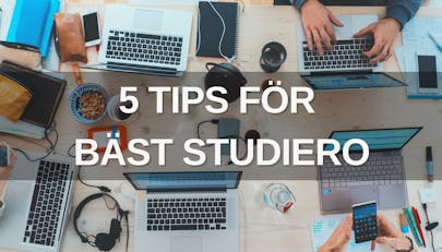 5 tips för bäst studiero