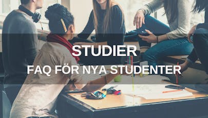 Studier – FAQ för nya studenter