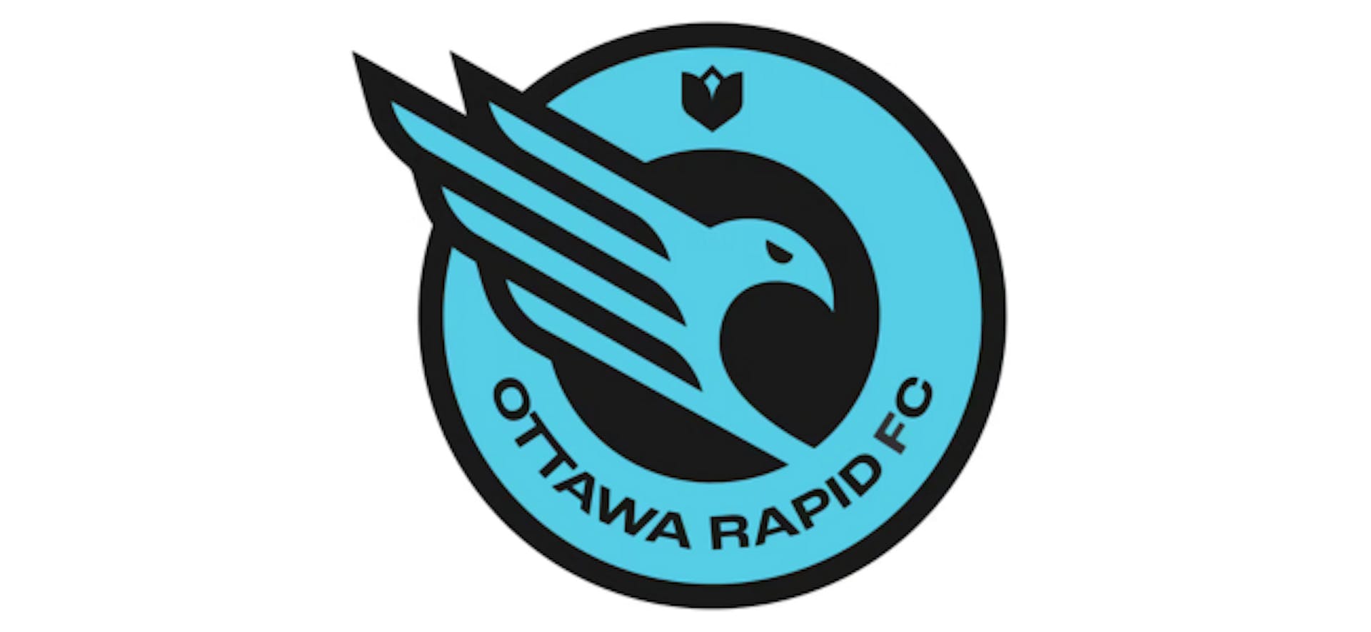 RapidFC