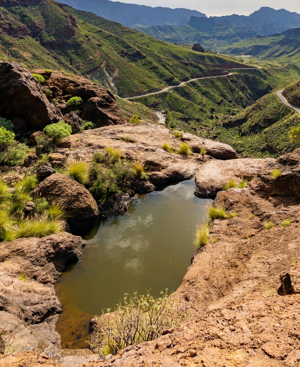 Canary Islands