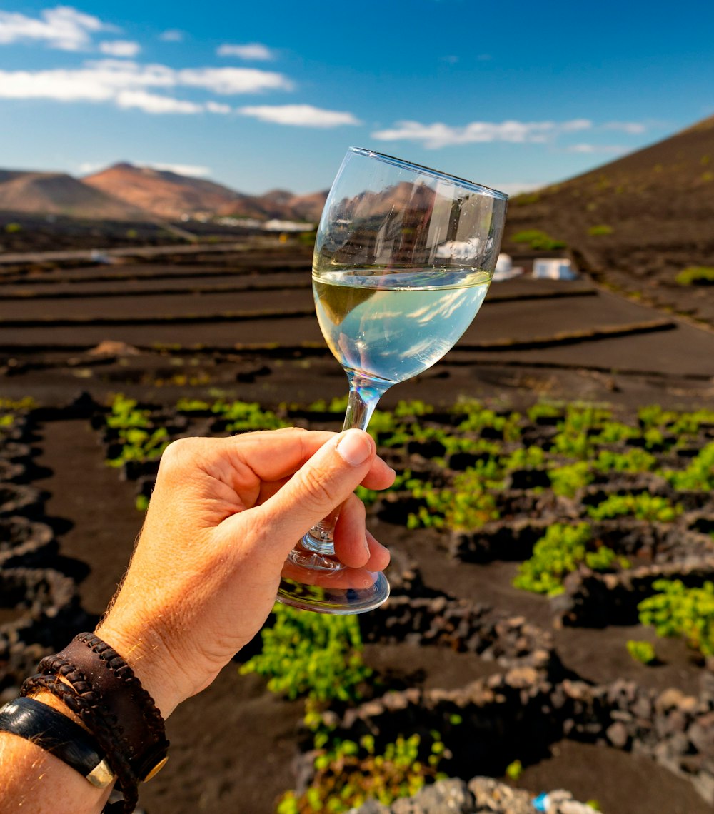 Canary Islands