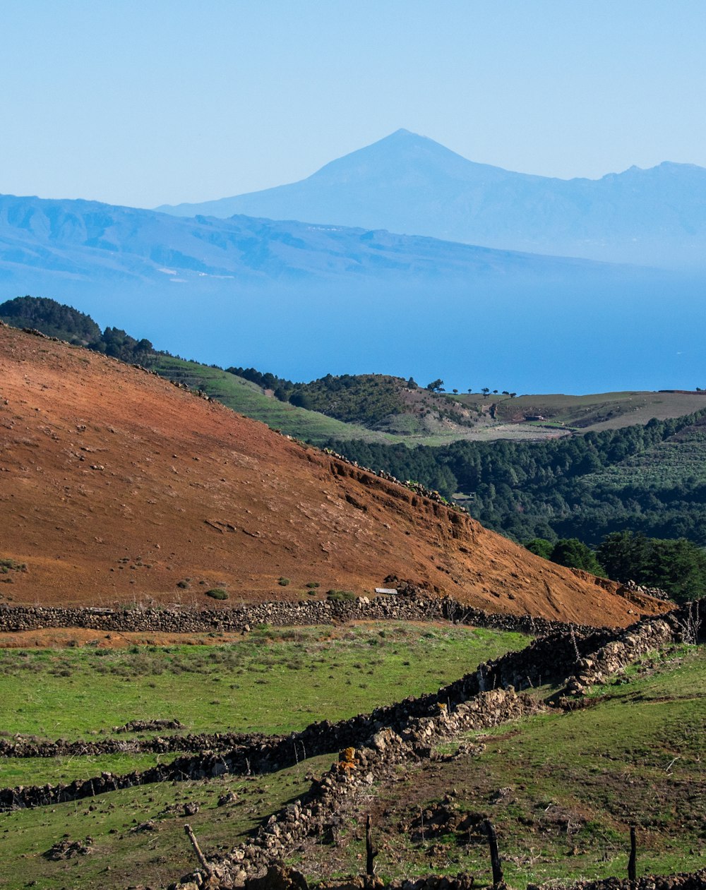 Canary Islands