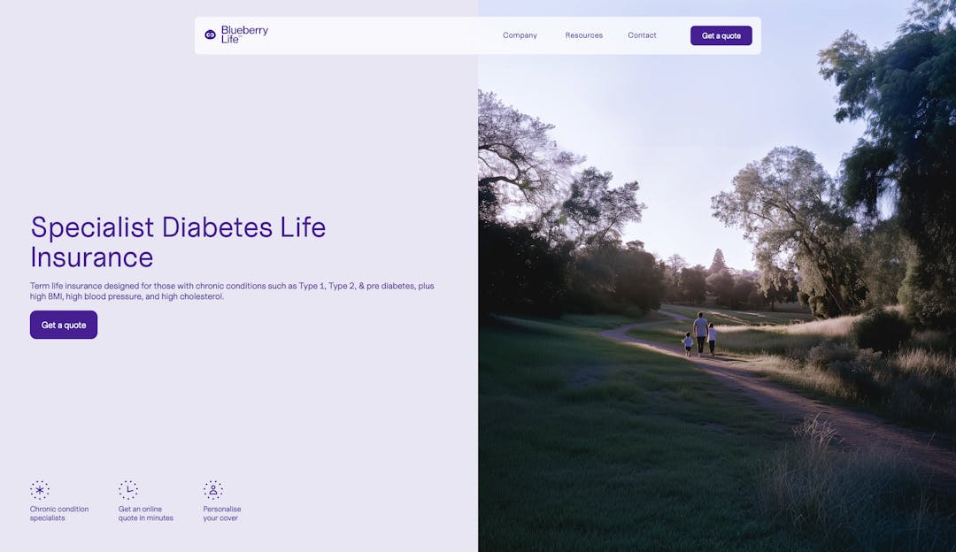 Blueberry Life website