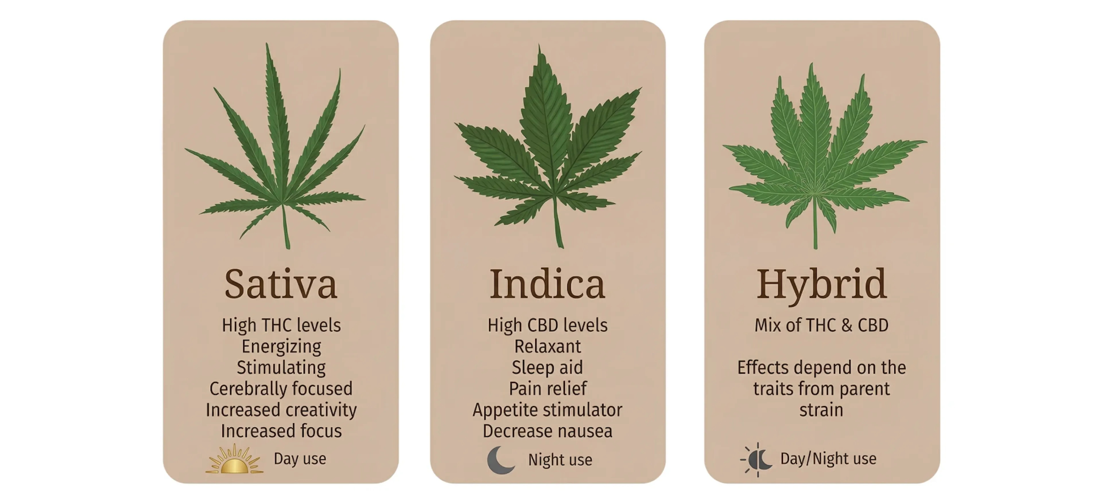 Indica vs Sativa vs Hybrid: What Actually Matters (New York Guide)