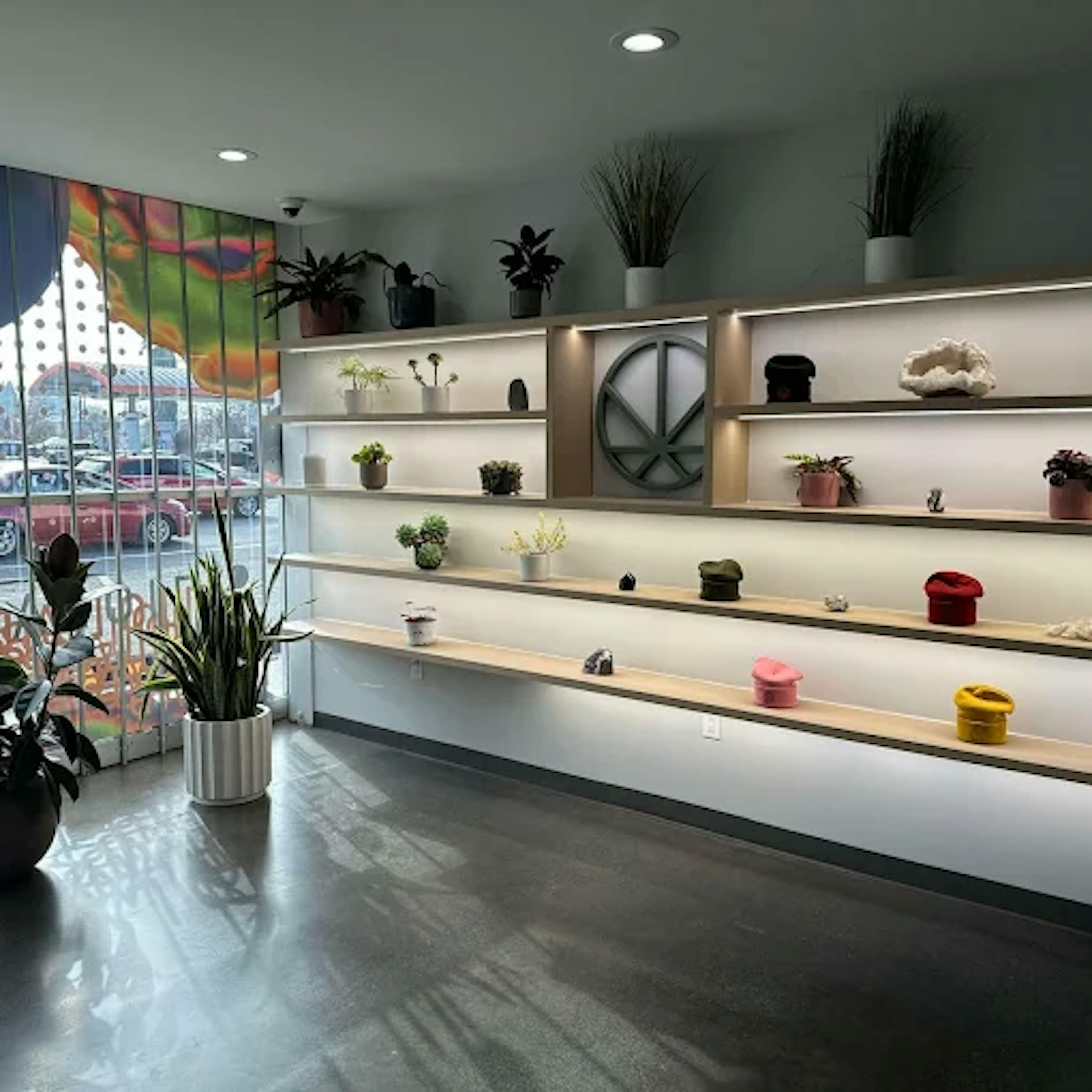 Stylish, minimalist product display inside Cannavine Santa Rosa featuring backlit wood shelving with artful product arrangements, plants, and a frosted logo. Iridescent glass windows reflect colorful patterns from the outside.