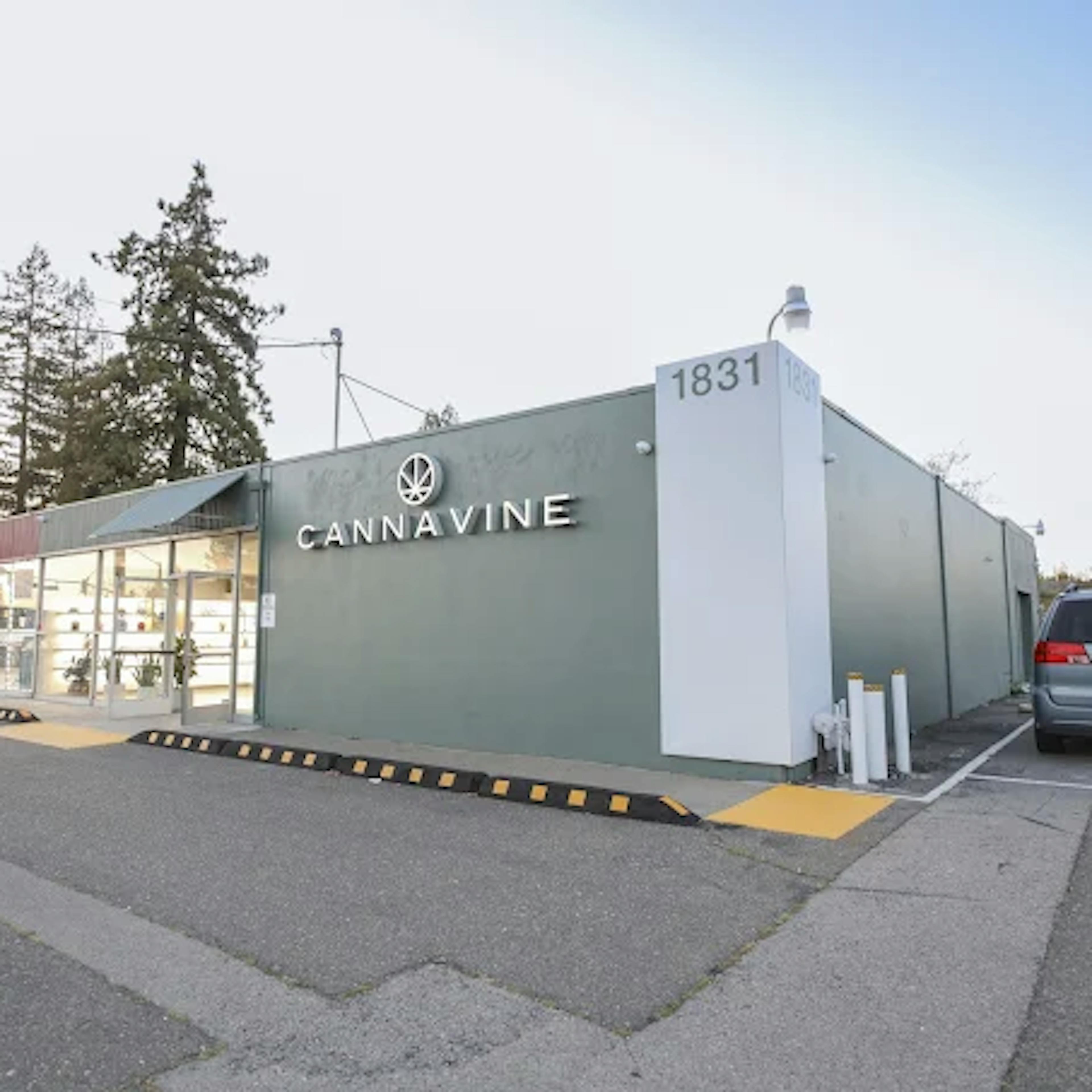 Exterior view of Cannavine Santa Rosa, a modern dispensary with green-painted walls, large glass windows, and bold white “CANNAVINE” signage. Located at 1831 with visible parking and a clean, minimalist storefront.