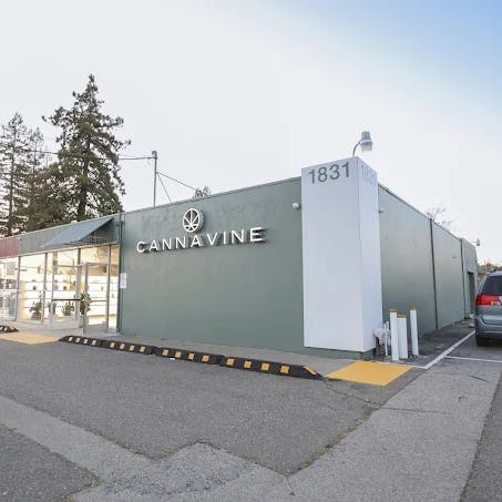 Exterior view of Cannavine Santa Rosa, a modern dispensary with green-painted walls, large glass windows, and bold white “CANNAVINE” signage. Located at 1831 with visible parking and a clean, minimalist storefront.