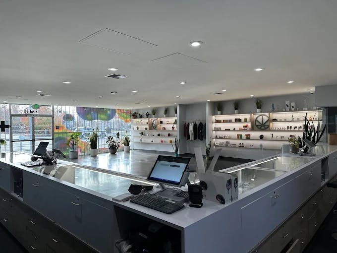 Modern cannabis dispensary interior with a large, U-shaped checkout counter at Cannavine Santa Rosa. The space is bright and open, with sleek white shelves, plants, and curated products along the walls.