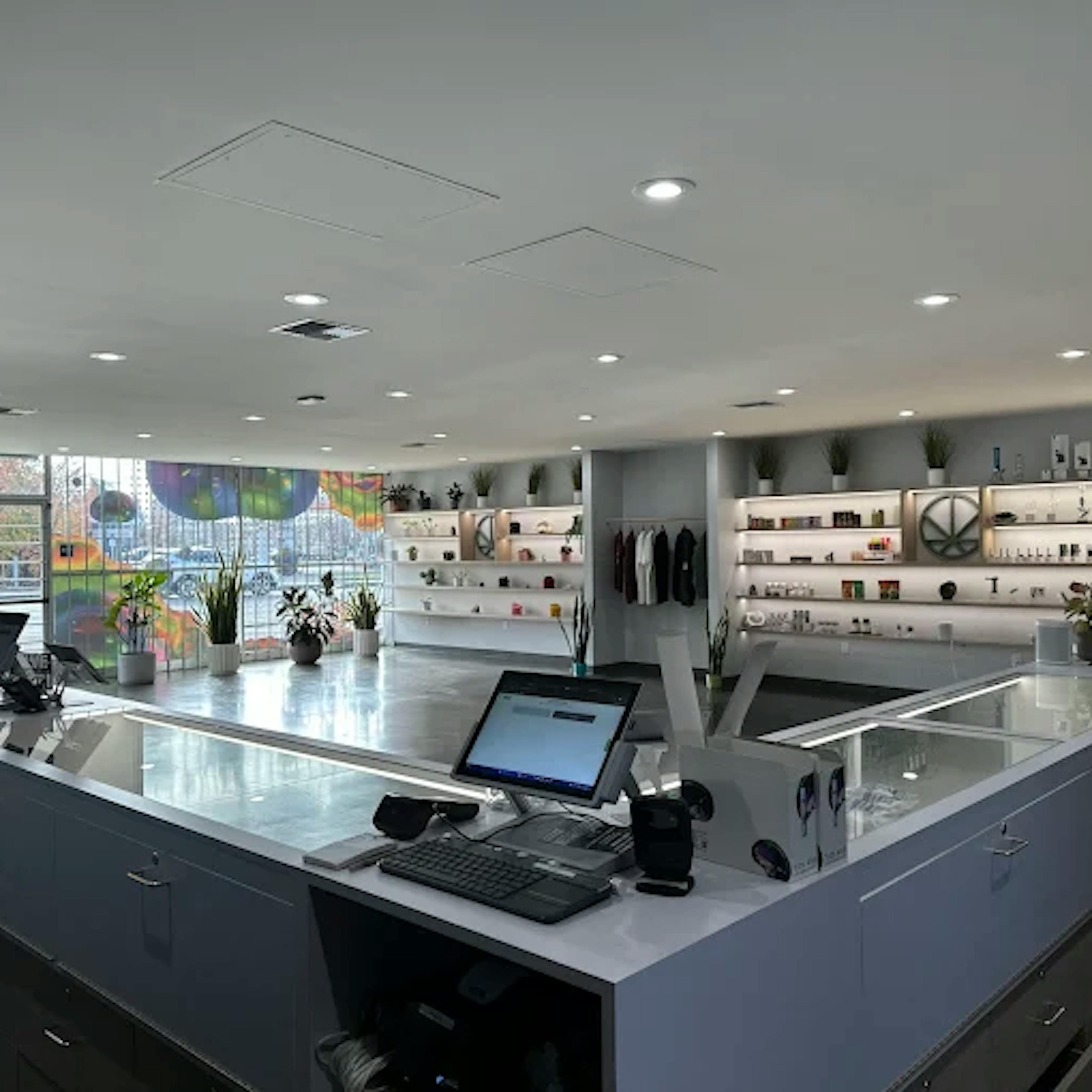 Modern cannabis dispensary interior with a large, U-shaped checkout counter at Cannavine Santa Rosa. The space is bright and open, with sleek white shelves, plants, and curated products along the walls.