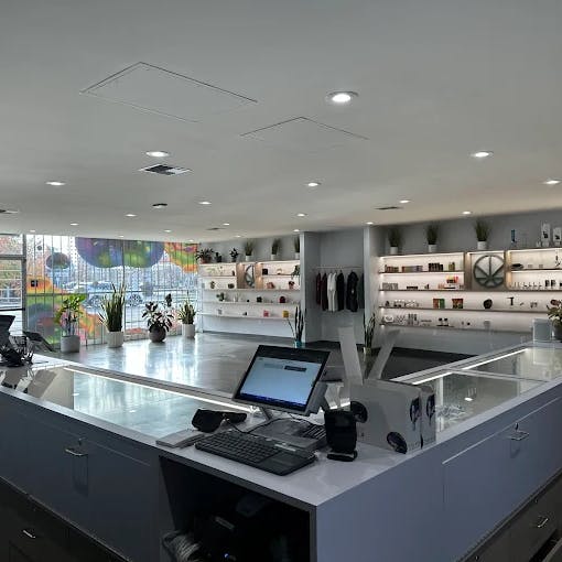 Modern cannabis dispensary interior with a large, U-shaped checkout counter at Cannavine Santa Rosa. The space is bright and open, with sleek white shelves, plants, and curated products along the walls.