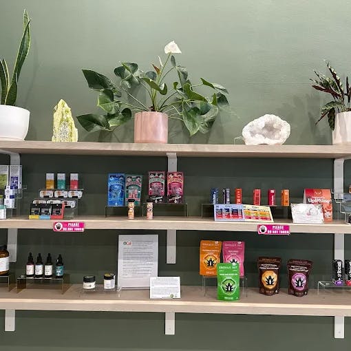 Minimalist wall shelving display featuring cannabis wellness products, edibles, and tinctures, accented by leafy plants and crystal decor against a sage green backdrop inside Cannavine San Francisco.