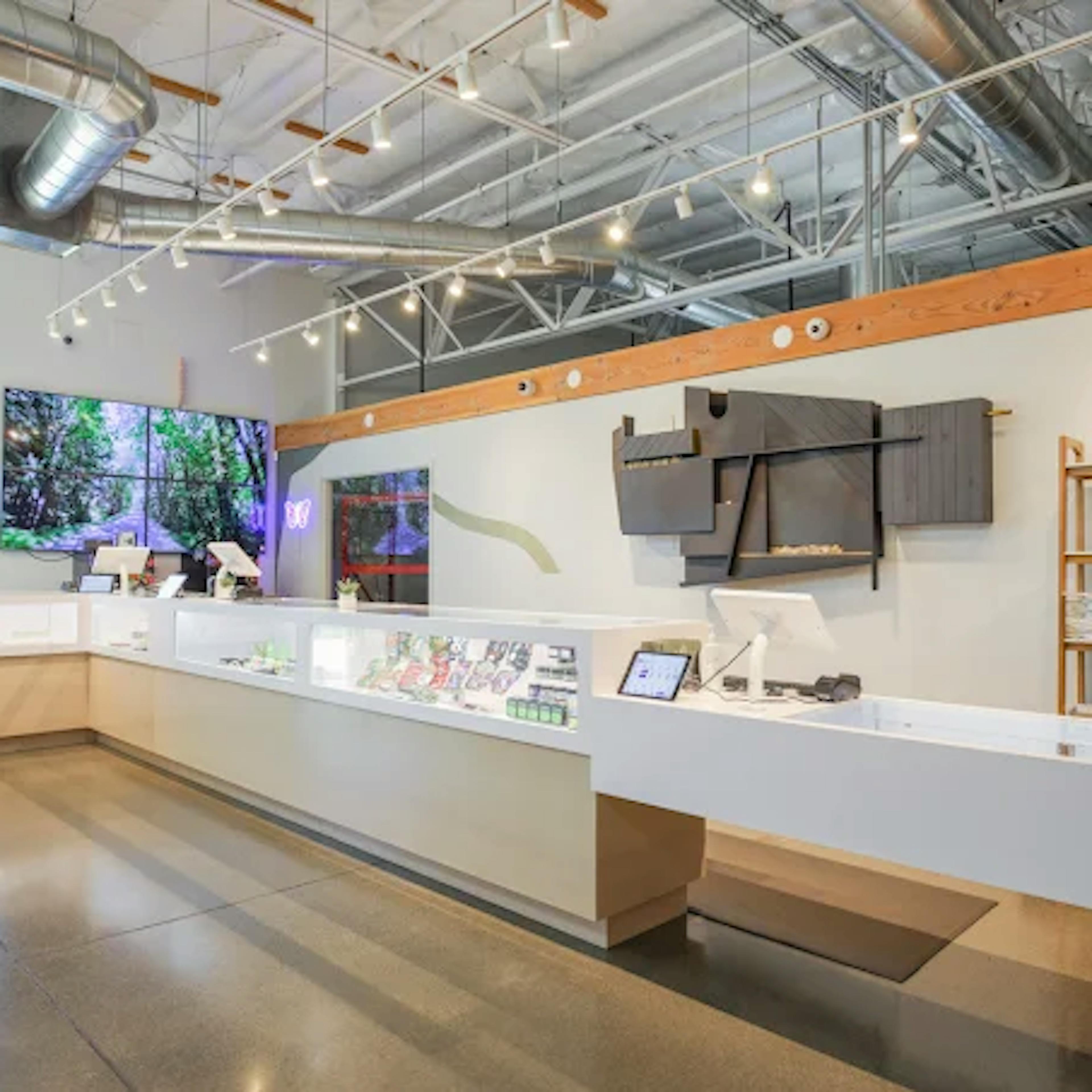Spacious, high-ceilinged interior of Cannavine Ukiah with bright lighting, sleek display counters, and exposed ductwork. Products are arranged behind glass cases beneath a minimalist, art-forward wall installation.