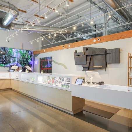 Spacious, high-ceilinged interior of Cannavine Ukiah with bright lighting, sleek display counters, and exposed ductwork. Products are arranged behind glass cases beneath a minimalist, art-forward wall installation.