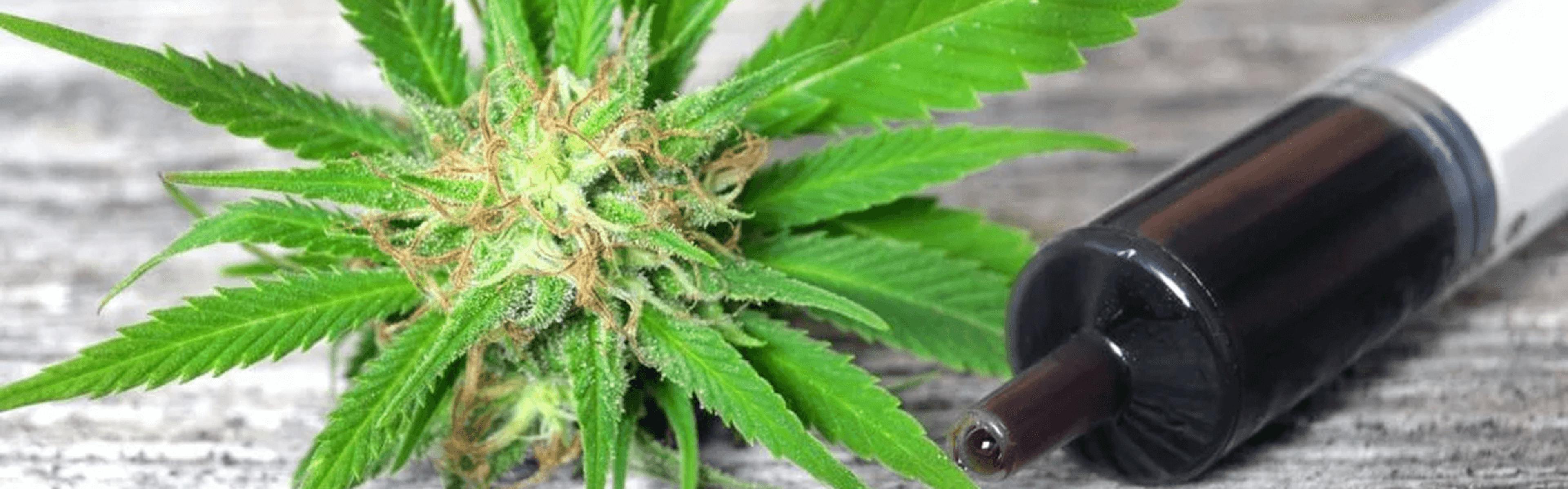 Cannabis bud next to a syringe filled with dark cannabis oil on a wooden surface