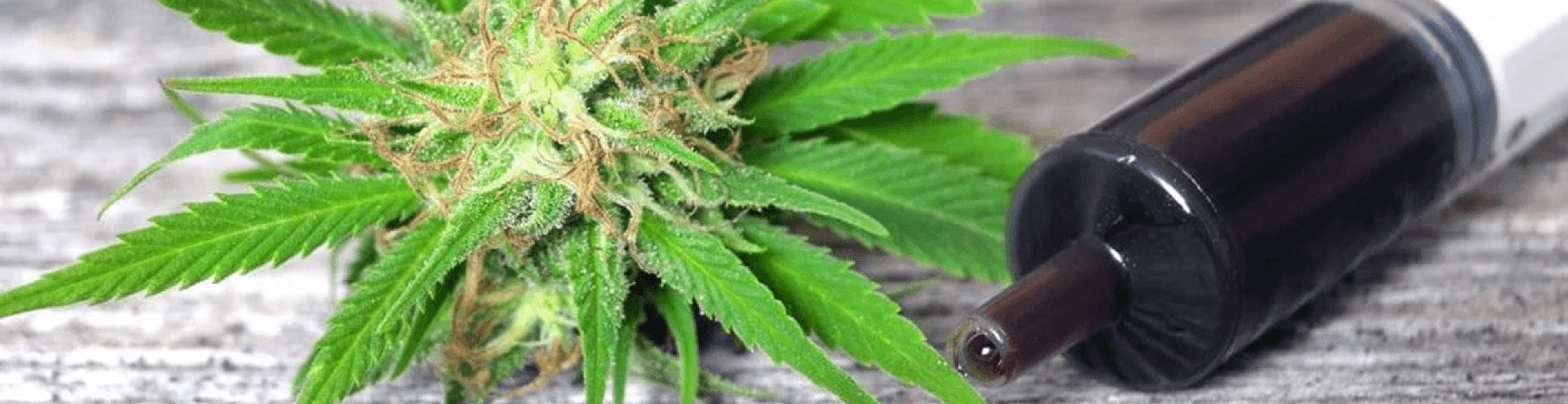 Cannabis bud next to a syringe filled with dark cannabis oil on a wooden surface