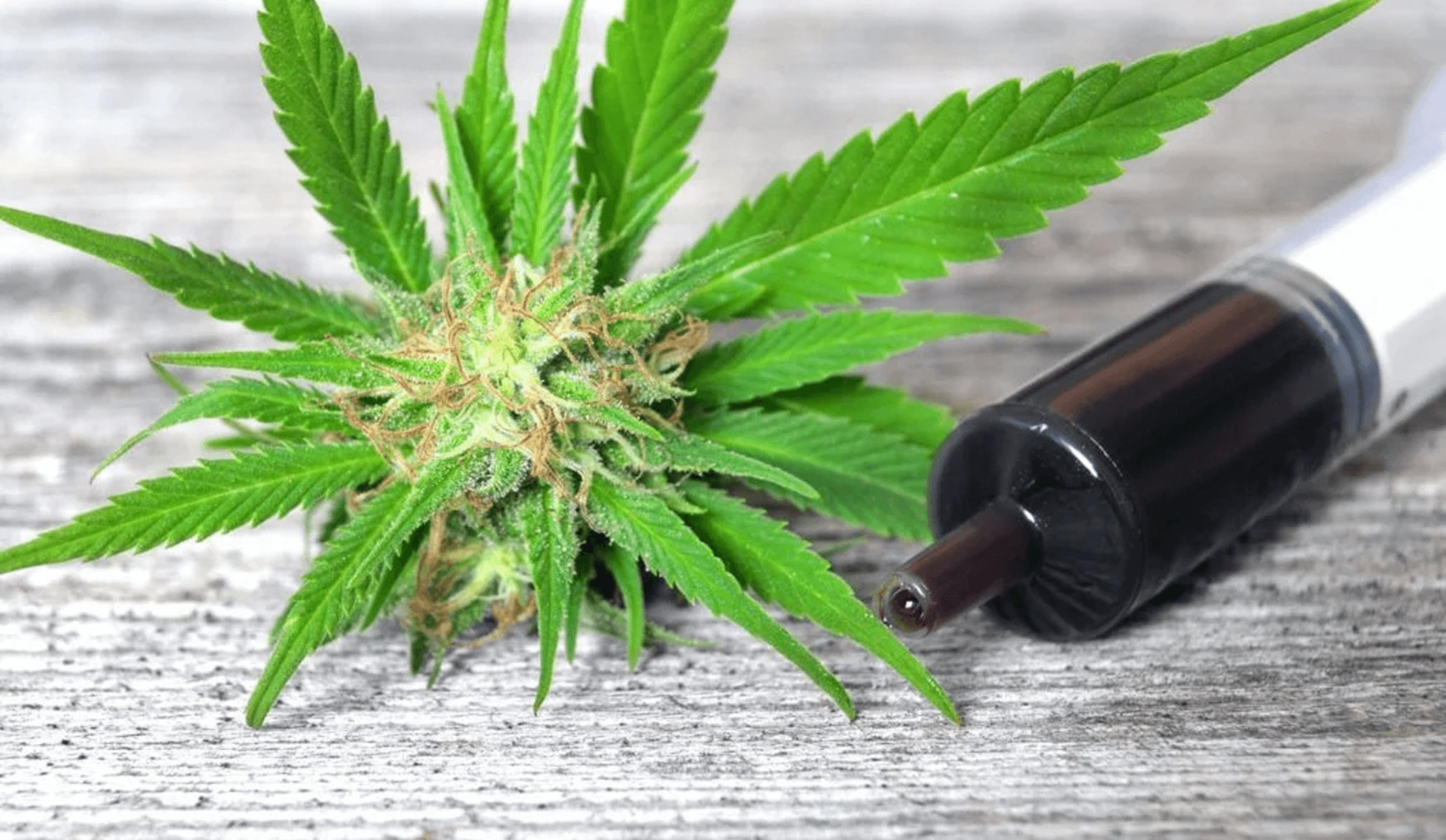 Cannabis bud next to a syringe filled with dark cannabis oil on a wooden surface